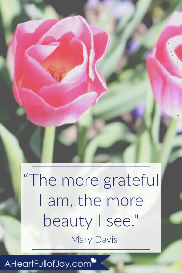 50 Beautiful Quotes on Gratitude - A Heart Full of Joy