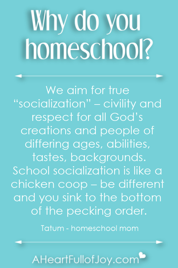 Why do parents homeschool their kids?