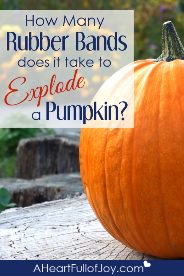 How many rubber bands does it take to explode a pumpkin?
